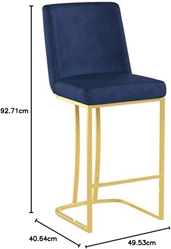 Meridian Furniture Heidi Collection Modern | Contemporary Velvet Upholstered Counter Stool with Polished Gold Metal Legs, 16" W x 19.5" D x 36.5" H, Black